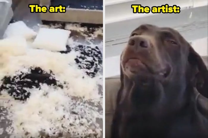 Esquerda: Almofada rasgada com enchimento por todo o lado. Direita: Cão sentado com uma expressão culpada. Texto diz &quot;A arte: O artista:&quot;