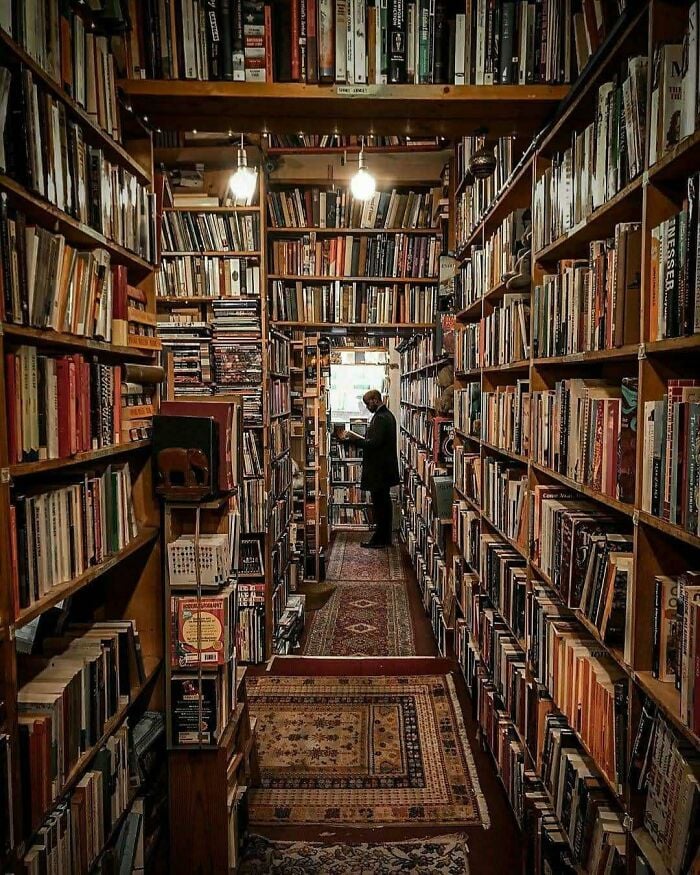 Bibliothèque confortable et grandiose avec de hautes étagères en bois remplies de livres et une personne qui navigue dans un cadre de librairie magique.