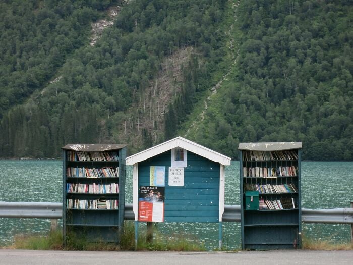 Scaffali di biblioteca all'aperto in riva al lago con libri accanto a un piccolo ufficio turistico blu, circondato da una lussureggiante foresta verde.